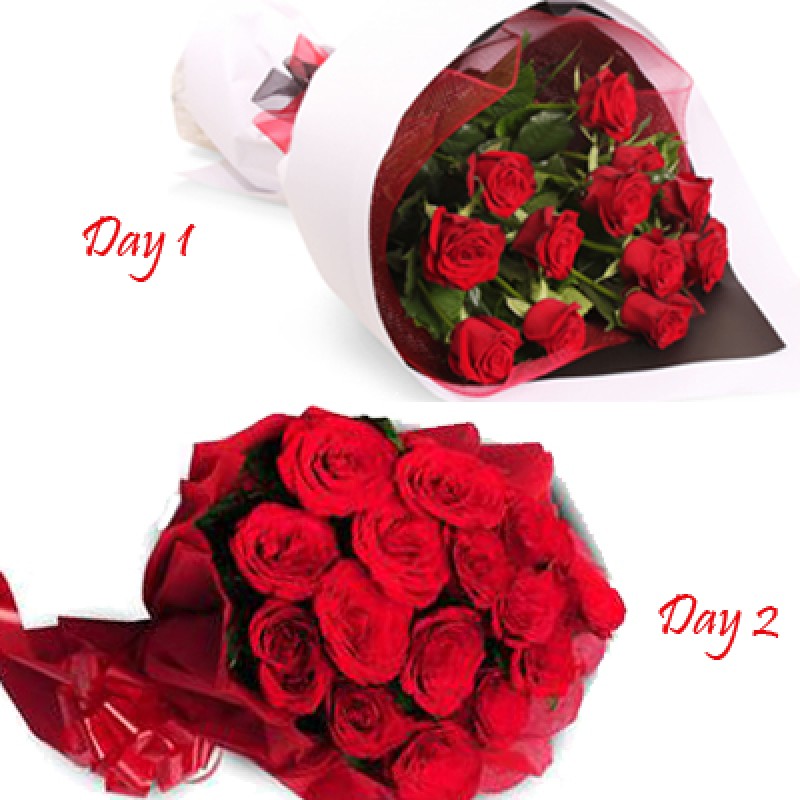 2 Day-Valentine Roses Celebration