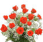 Bunch of 15 Red Roses