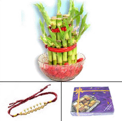 Pearl Rakhi, Lucky Bamboo & Dry Fruits Combo