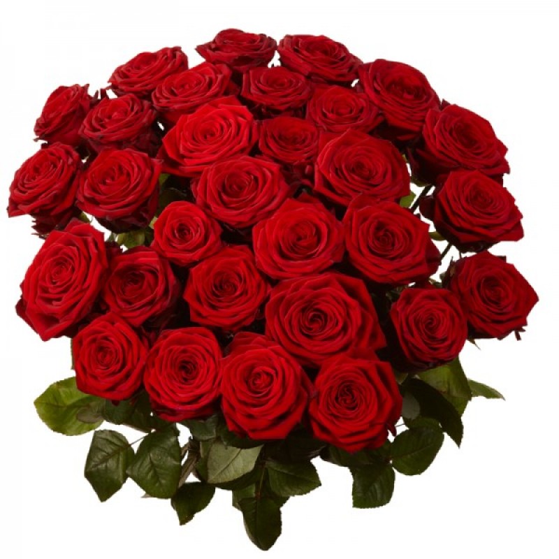 40 Red Roses Giftwithluv
