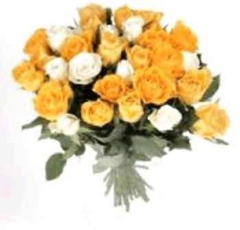 Bunch of 24 yellow and white Roses