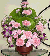 Exotic Pink Carnations & Orchids arrangement