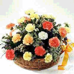 Basket of mixed carnations